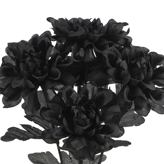 12" Black Dahlia Bush by Ashland®
